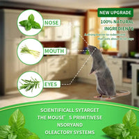 OmegaMint™ Natural Rodent Repellent Pods (12-Pack)